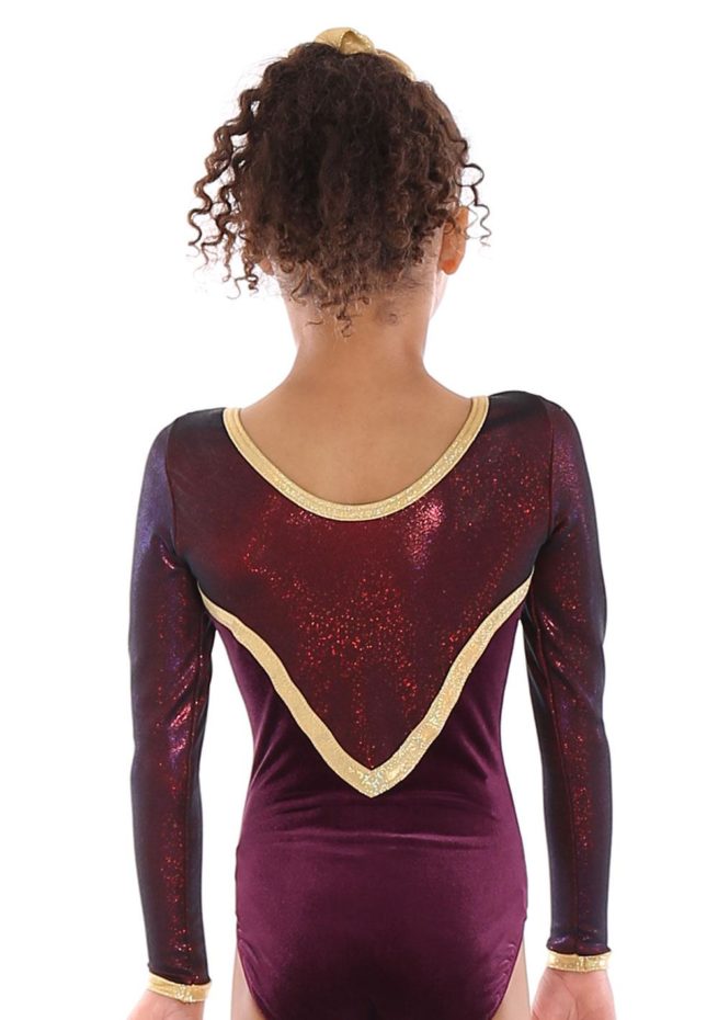 ELOISE L31 Burgundy velour leotard with net and gold detail back